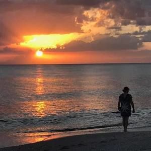 Meet your Posher, Barbara